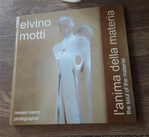Elvino Motti L'anima Della Materia