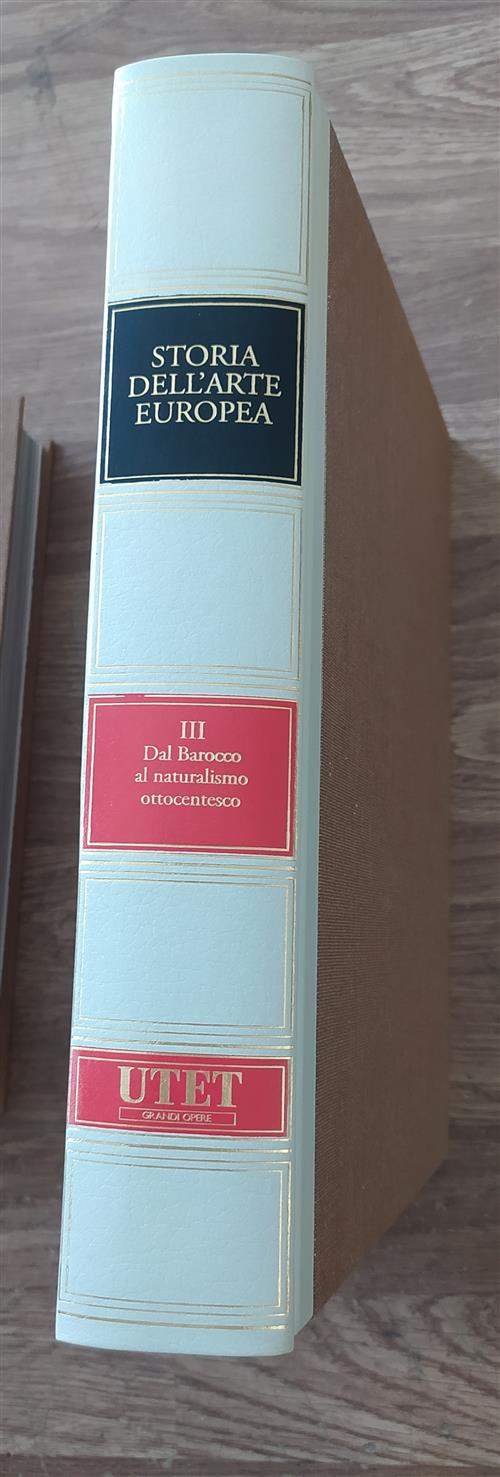 Storia Dell'arte Europea. Volume 3. Dal Barocco Al Naturalismo Ottocentesco