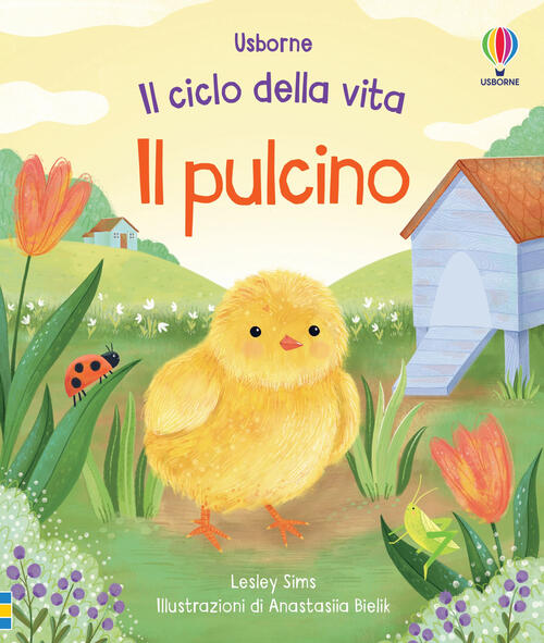 Il Pulcino Lesley Sims Usborne 2024
