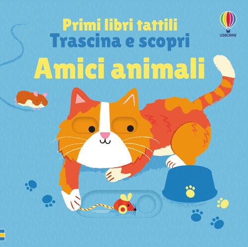 Amici Animali Fiona Watt Usborne 2025