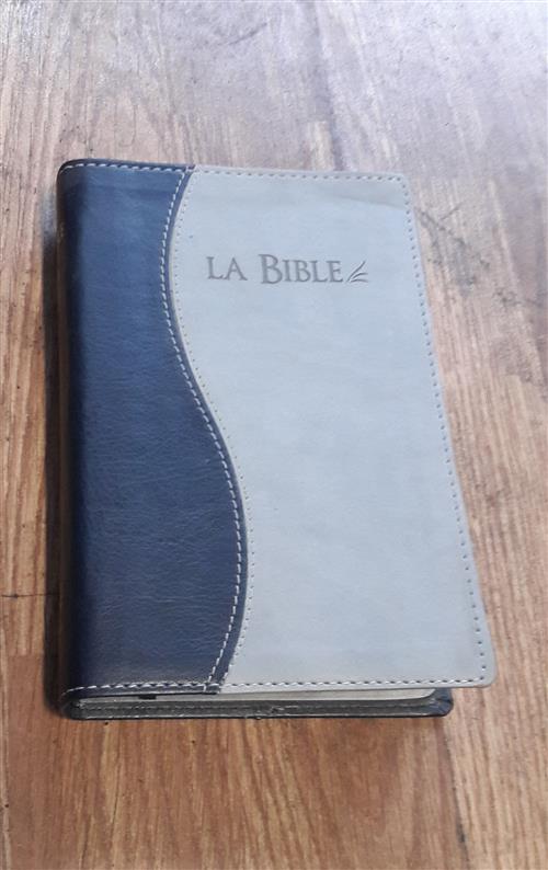 La Bible Segond 21: Edition Souple, Similicuir, Duo Gris Et Bleu, Tranches Arg