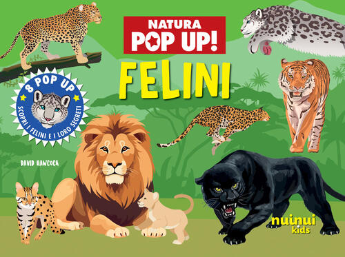 Felini. Natura Pop Up David Hawcock Nuinui 2025