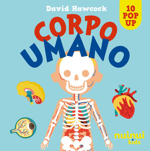 Corpo Umano. Sorprendenti Pop Up David Hawcock Nuinui 2025