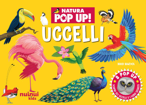 Uccelli. Natura Pop Up David Hawcock Nuinui 2026