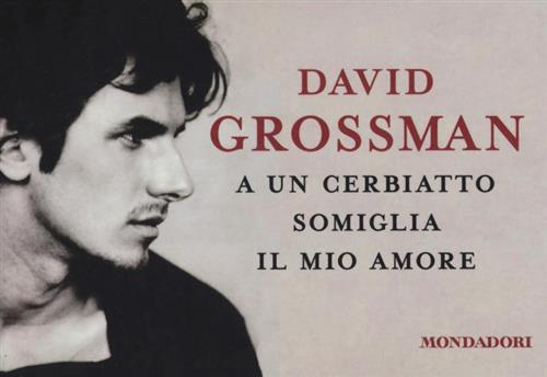 A Un Cerbiatto Somiglia Il Mio Amore David Grossman Mondadori 2014