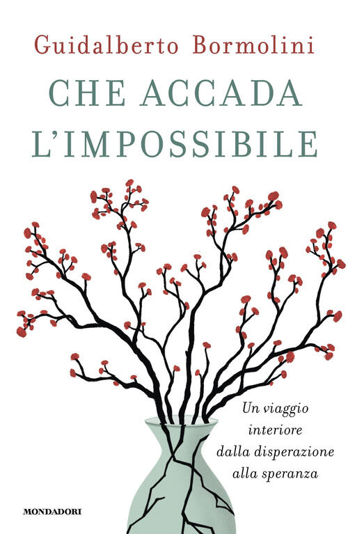 Che Accada L'impossibile. Un Viaggio Interiore Dalla Disperazione Alla Speranz