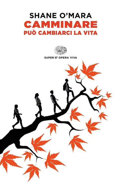 Camminare Puo Cambiarci La Vita Shane O'mara Einaudi 2020