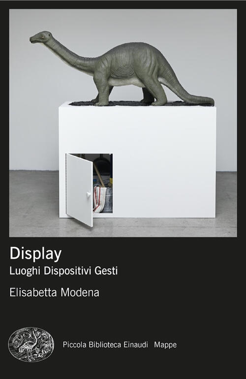 Display. Luoghi, Dispositivi, Gesti Elisabetta Modena Einaudi 2024