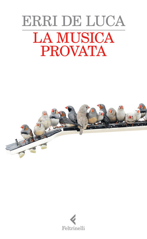 La Musica Provata Erri De Luca Feltrinelli 2014