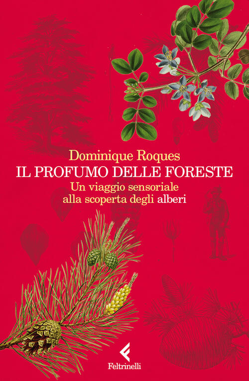 Il Profumo Delle Foreste. Un Viaggio Sensoriale Alla Scoperta Degli Alberi Dom