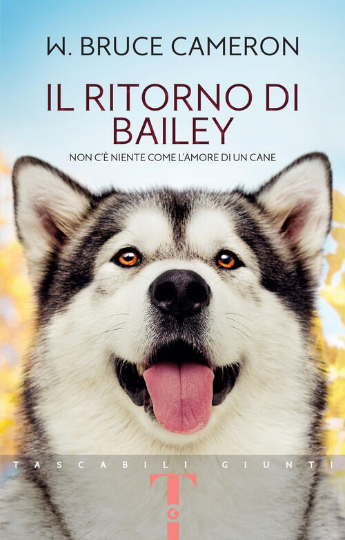 Il Ritorno Di Bailey William Bruce Cameron Giunti Editore 2024