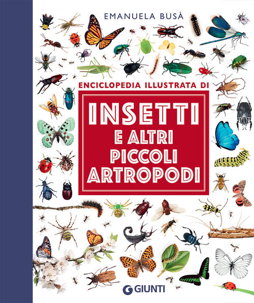 Insetti E Altri Piccoli Artropodi. Enciclopedia Illustrata Emanuela Busa Giunt