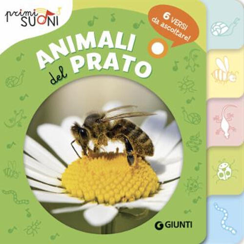 Animali Del Prato. Primi Suoni. Ediz. A Colori Silvia D'achille Dami Editore 2