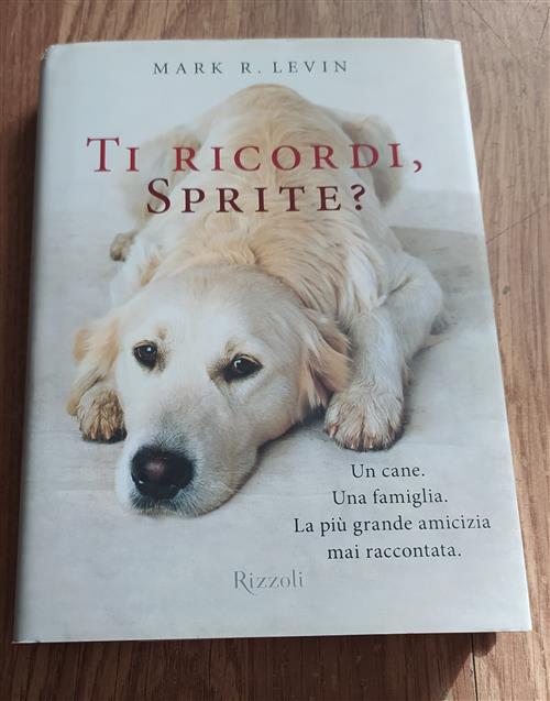 Ti Ricordi, Sprite?