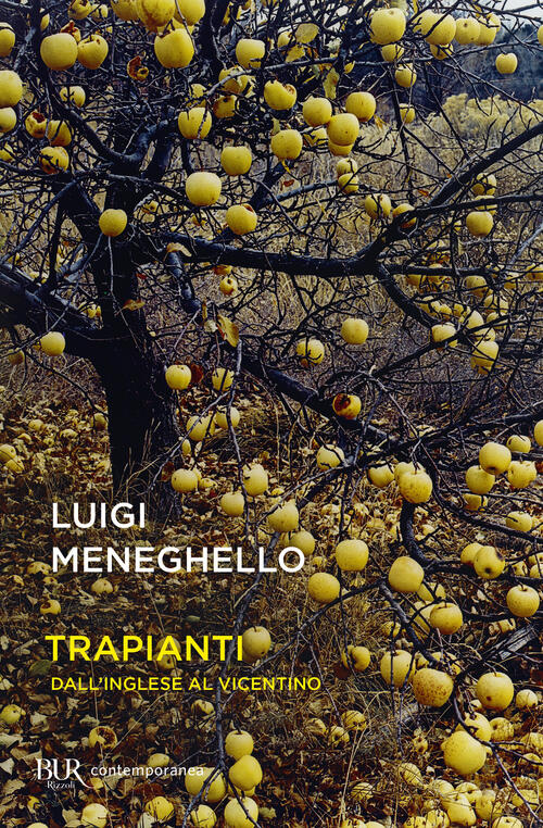 Trapianti. Dall'inglese Al Vicentino Luigi Meneghello Rizzoli 2021