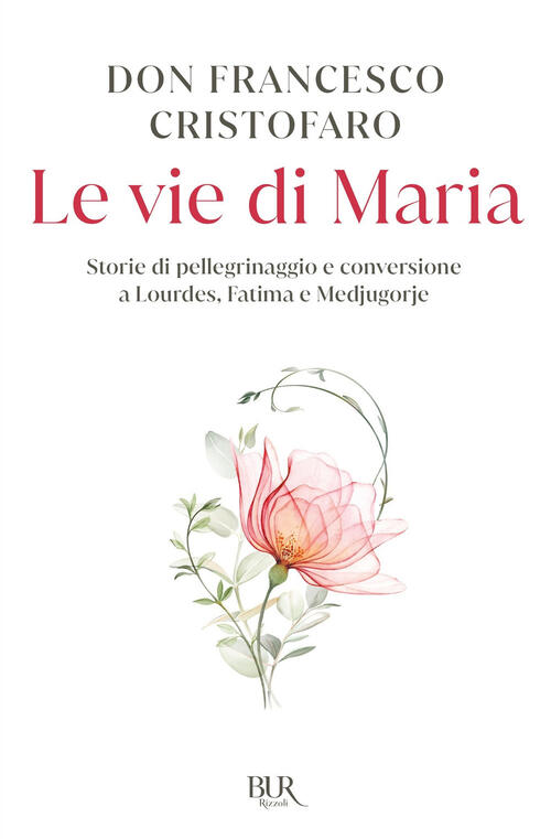 Le Vie Di Maria. Storie Di Pellegrinaggi E Conversioni A Lourdes, Medjugorje E