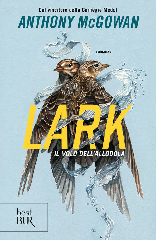 Lark. Il Volo Dell'allodola Anthony Mcgowan Rizzoli 2024