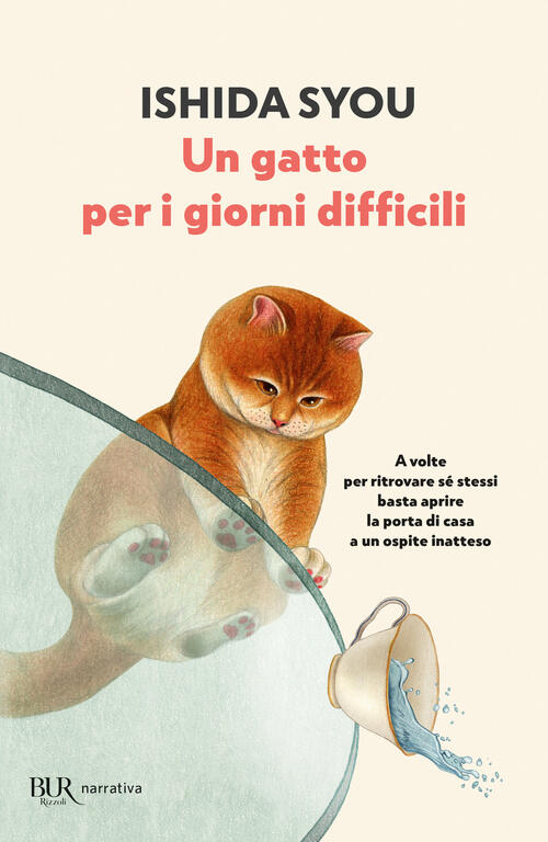 Un Gatto Per I Giorni Difficili Syou Ishida Rizzoli 2025