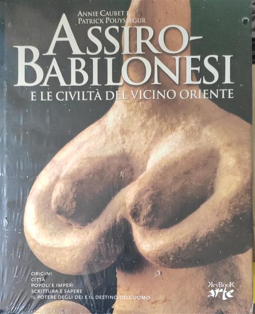 Assiro Babilonesi E Le Civilta Del Vicino Oriente Annie Caubet, Patrick Pouyss