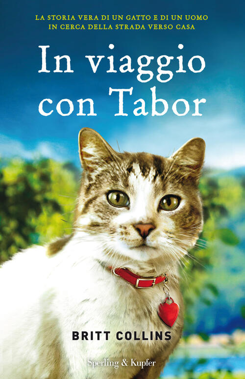In Viaggio Con Tabor
