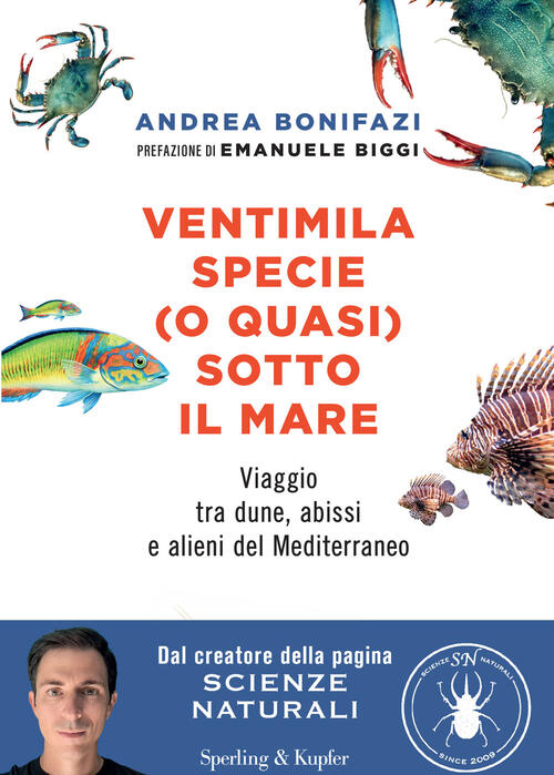 Ventimila Specie (O Quasi) Sotto Il Mare. Viaggio Tra Dune, Abissi E Alieni De