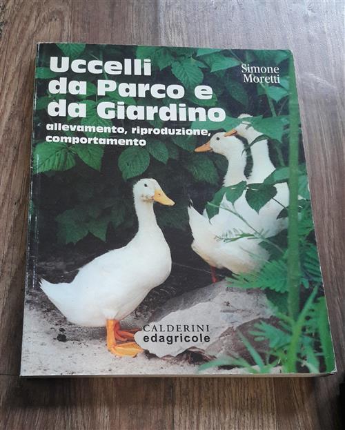 Uccelli Da Parco E Da Giardino