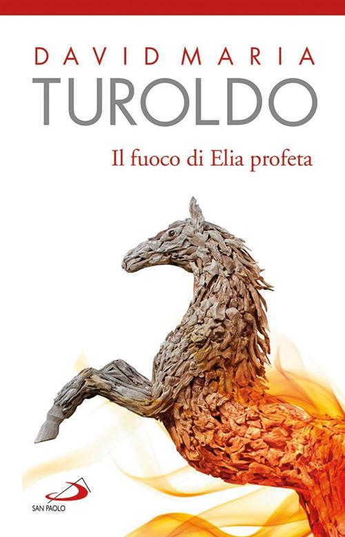 Il Fuoco Di Elia Profeta. Omelie 1989-1990. Testamento Spirituale David Maria