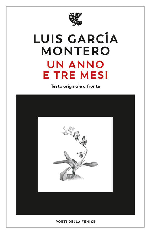Un Anno E Tre Mesi. Testo Originale A Fronte Garcia Montero Luis Guanda 2023