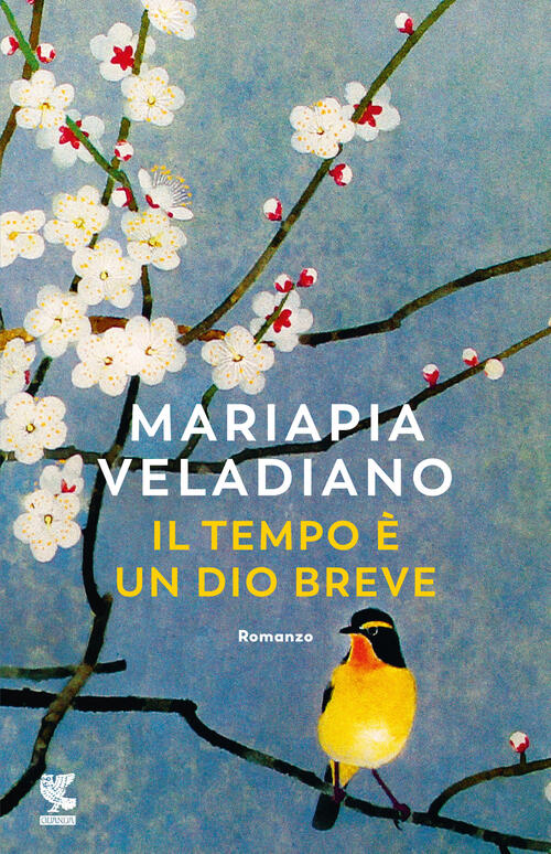 Il Tempo E Un Dio Breve Mariapia Veladiano Guanda 2024