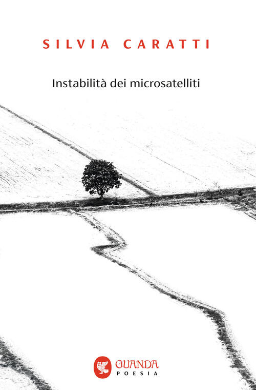 Instabilita Dei Microsatelliti Silvia Caratti Guanda 2025