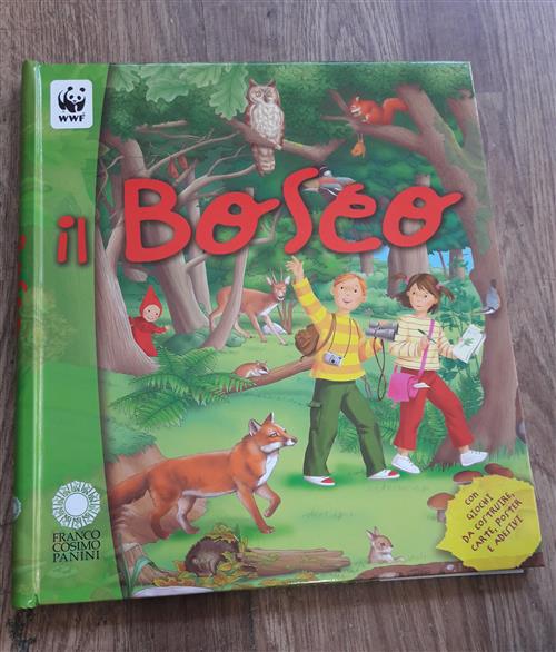 Bosco Con Giochi
