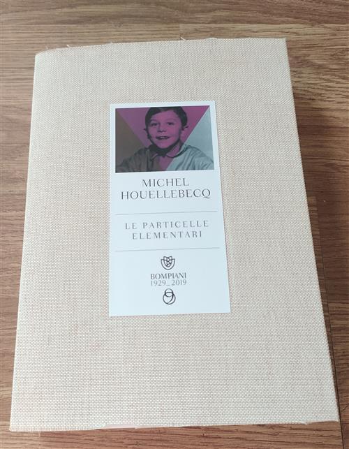 Le Particelle Elementari