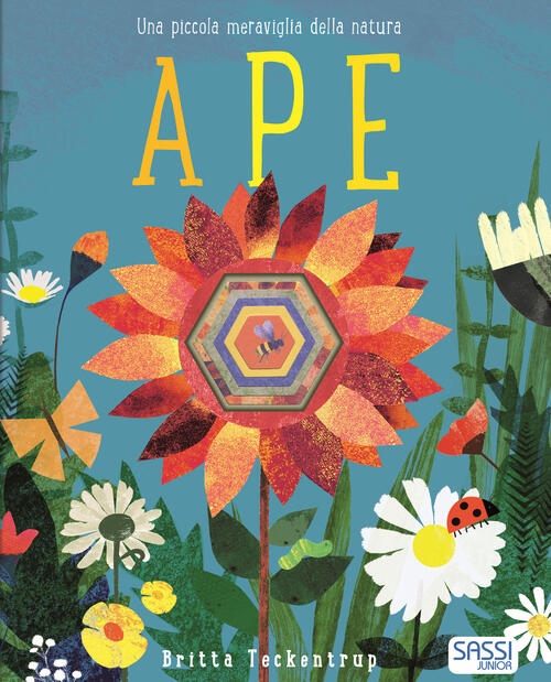 Ape. Ediz. A Colori Britta Teckentrup Sassi 2021
