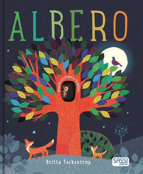 Albero. Ediz. A Colori Britta Teckentrup Sassi 2021