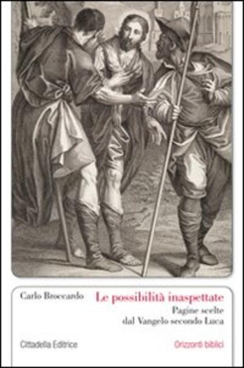 Le Possibilita Inaspettate. Pagine Scelte Dal Vangelo Secondo Luca Carlo Brocc