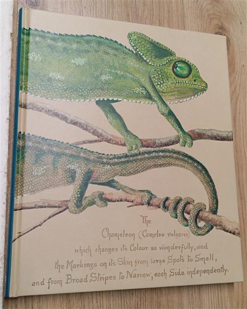 Animali Fantastici. Le Meraviglie Della Natura J. K. Rowling Salani 2021