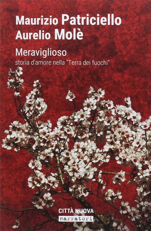 Meraviglioso. Storia D'amore Nella Terra Dei Fuochi Maurizio Patriciello Citta