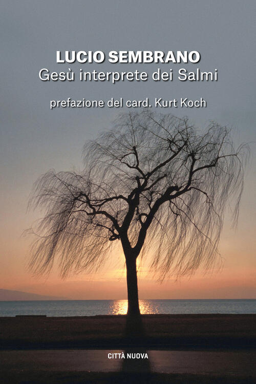 Gesu Interprete Dei Salmi. Fedelta Alla Tradizione E Novita Di Senso Lucio Sem