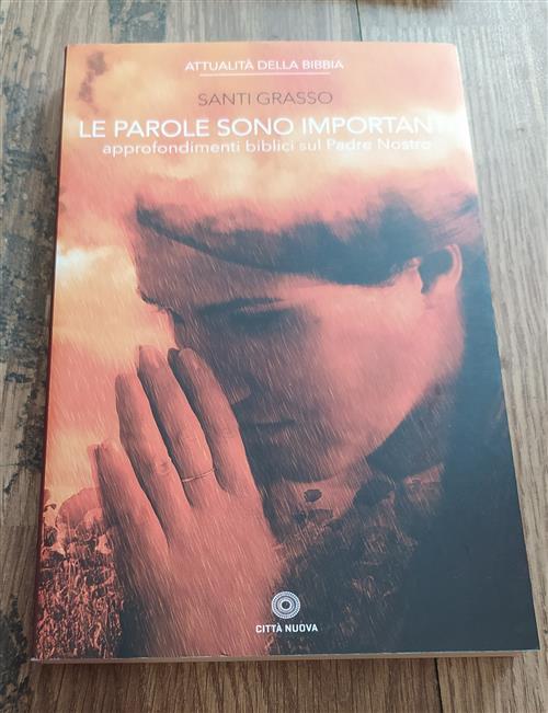 Le Parole Sono Importanti. Approfondimenti Biblici Sul Padre Nostro Santi Gras
