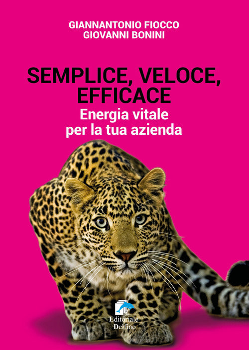 Semplice, Veloce, Efficace. Energia Vitale Per La Tua Azienda Giannantonio Fio