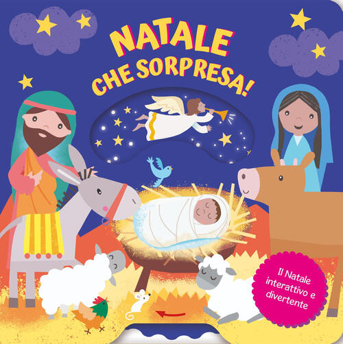 Natale Che Sorpresa! Il Natale Interattivo E Divertente Suzy Senior, Jayne Sch