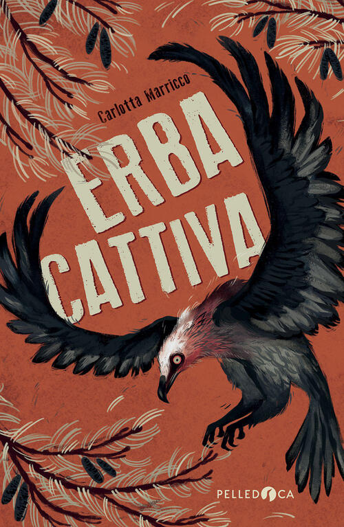 Erba Cattiva Carlotta Marricco Pelledoca Editore 2026