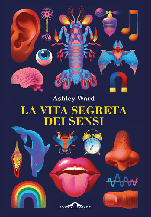 La Vita Segreta Dei Sensi Ashley Ward Ponte Alle Grazie 2023