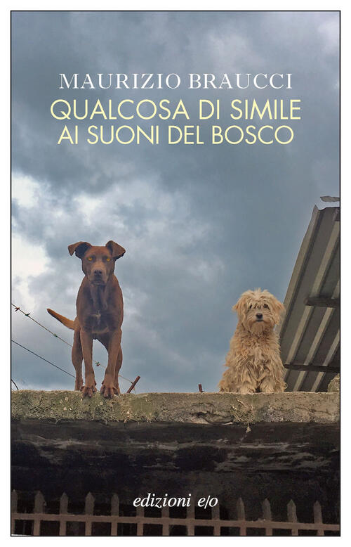 Qualcosa Di Simile Ai Suoni Del Bosco
