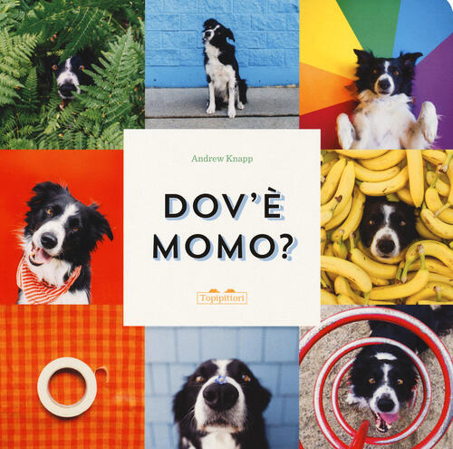 Dov'e Momo? Ediz. Illustrata Andrew Knapp Topipittori 2021