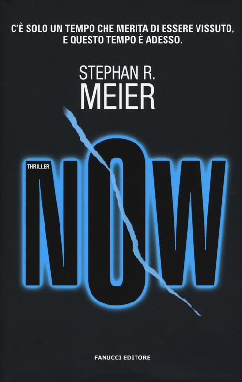 Now Stephan R. Meier Fanucci 2017