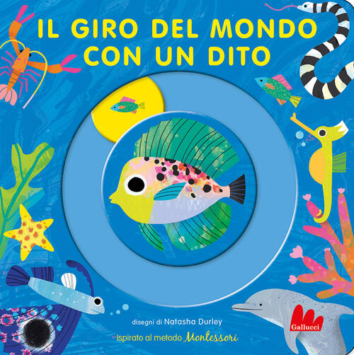 Il Giro Del Mondo Con Un Dito. Ediz. A Colori Natasha Durley Gallucci 2023