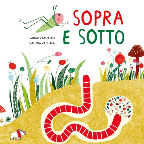 Sopra E Sotto. Ediz. A Colori Sarah Zambello Pulce 2024