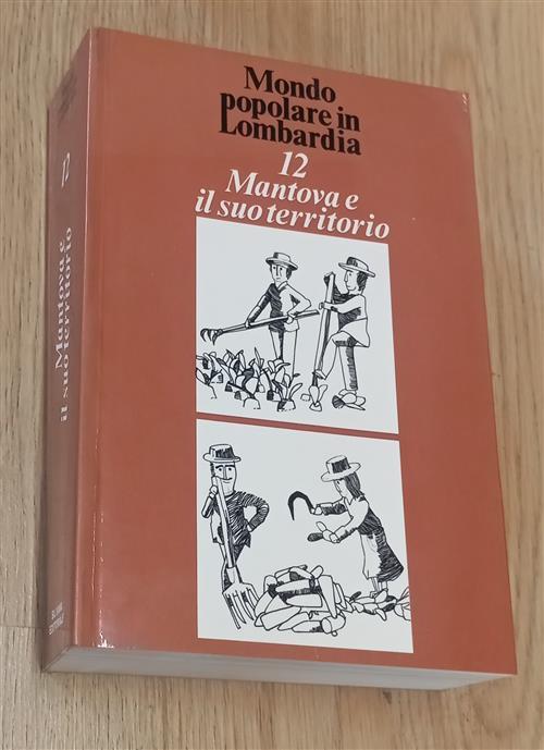 Mantova E Il Suo Territorio G. Barozzi, L. Beduschi Silvana 1982