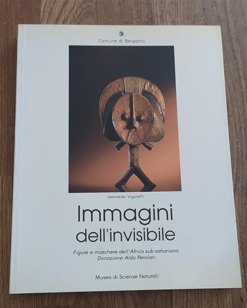 Immagini Dell'invisibile. Figure E Maschere Dell'africa Sub-Sahariana